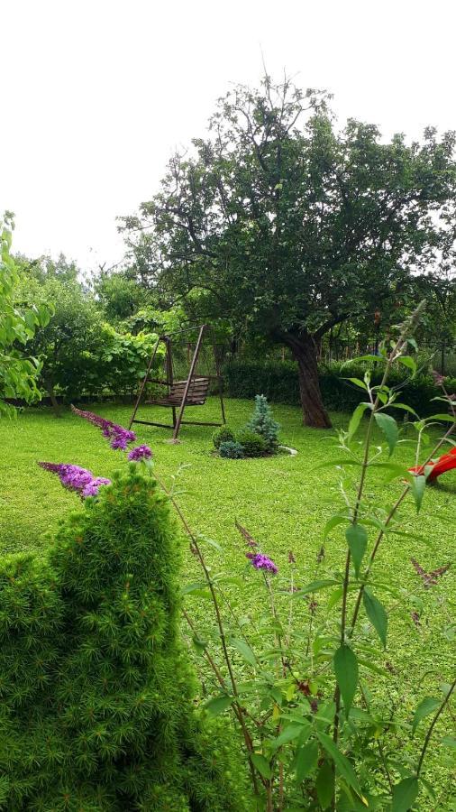 Hotel Silva House Deva Zewnętrze zdjęcie