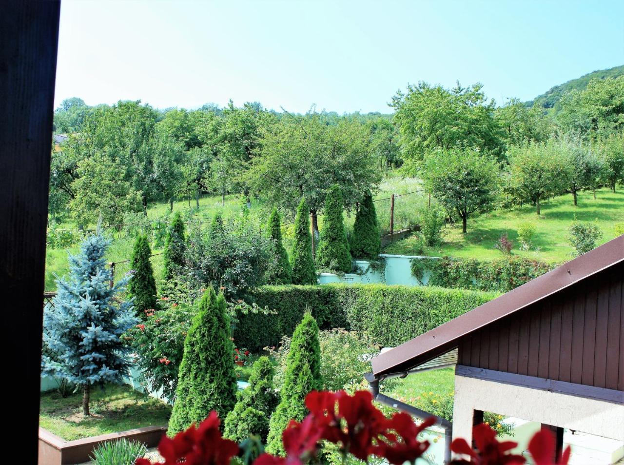Hotel Silva House Deva Zewnętrze zdjęcie