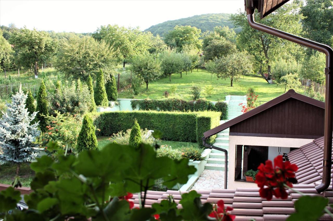 Hotel Silva House Deva Zewnętrze zdjęcie